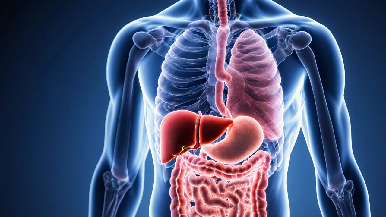 Kde se hubne nejdřív? Co se stane s tělem, když začnete hubnout